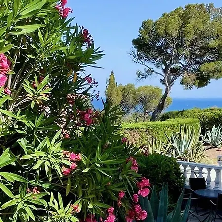 Tatil Evi Laurier Comfortable *